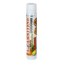 Амінокислота L-карнітин L-carnitine 3000 мг + Guarana & Green tea 25 мл