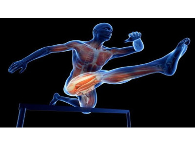 Мазі та креми для спортсменів